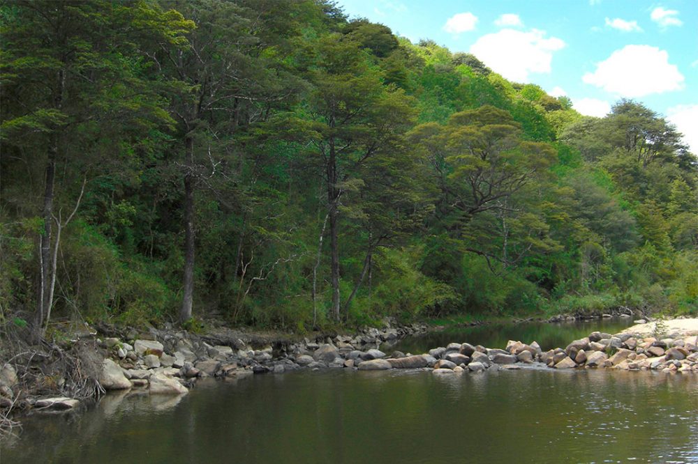 reserva nacional los queules en cobquecura